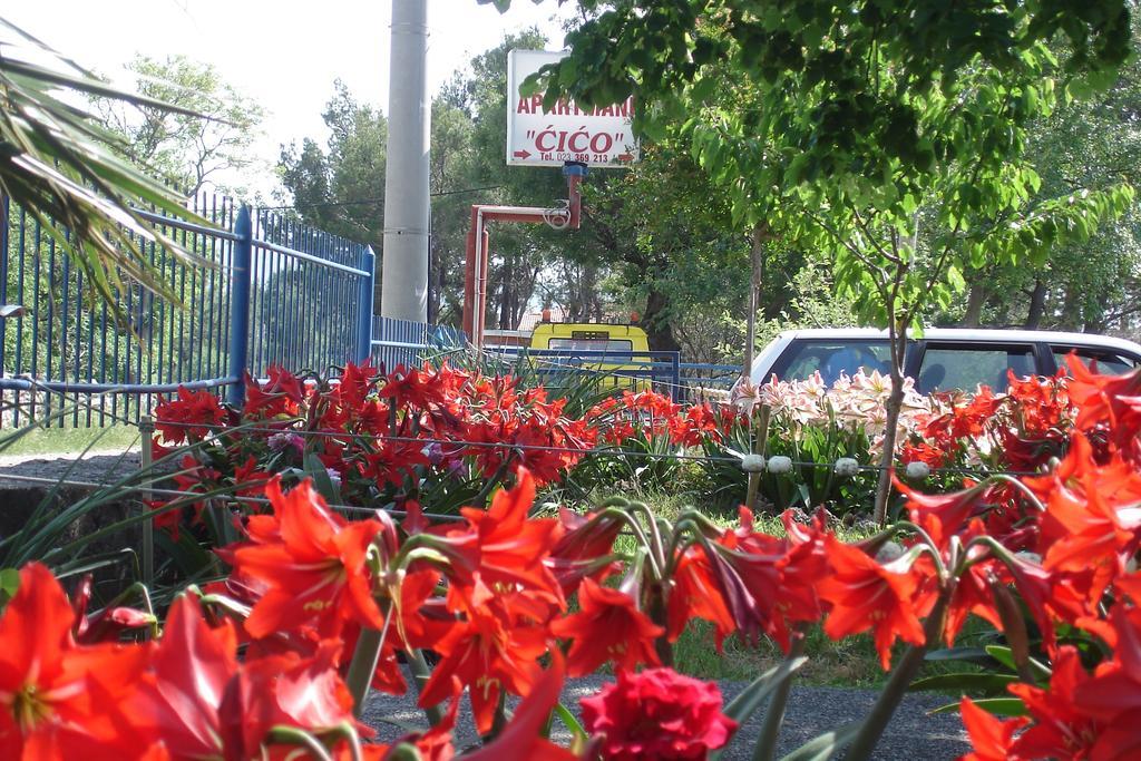 Apartments Cico Starigrad Paklenica Zewnętrze zdjęcie