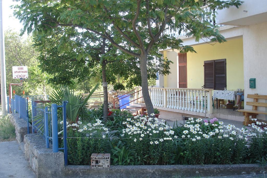 Apartments Cico Starigrad Paklenica Zewnętrze zdjęcie